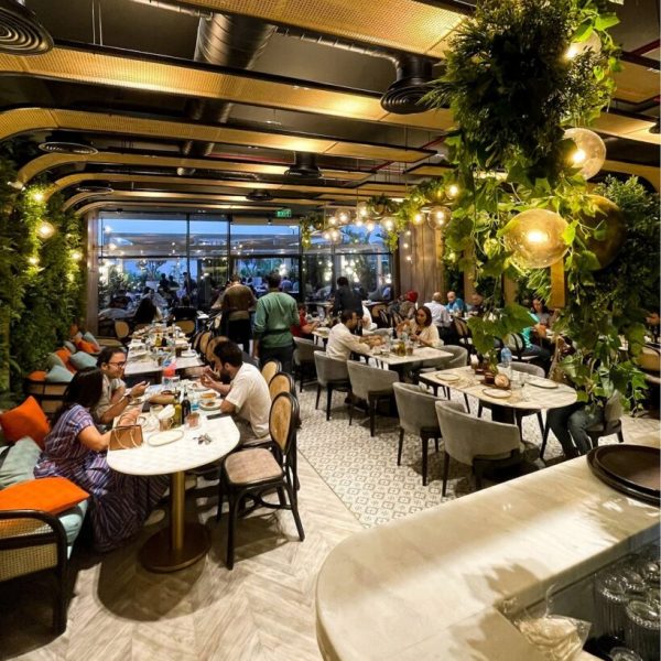 باقة التأسيس المتكامل